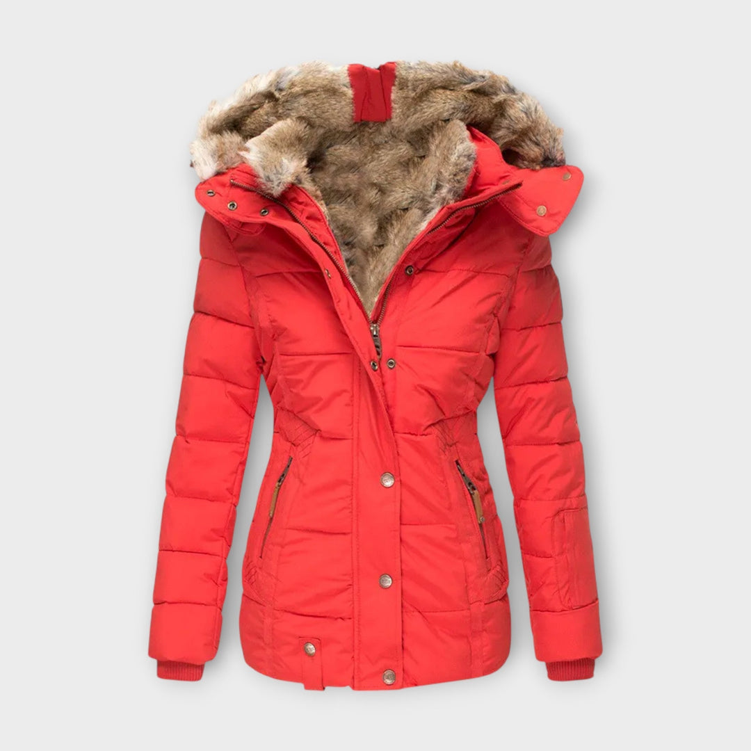 Jacket with Lining